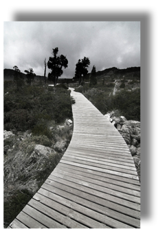 Walkway